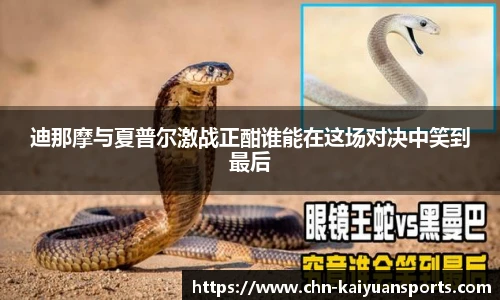 开元体育平台